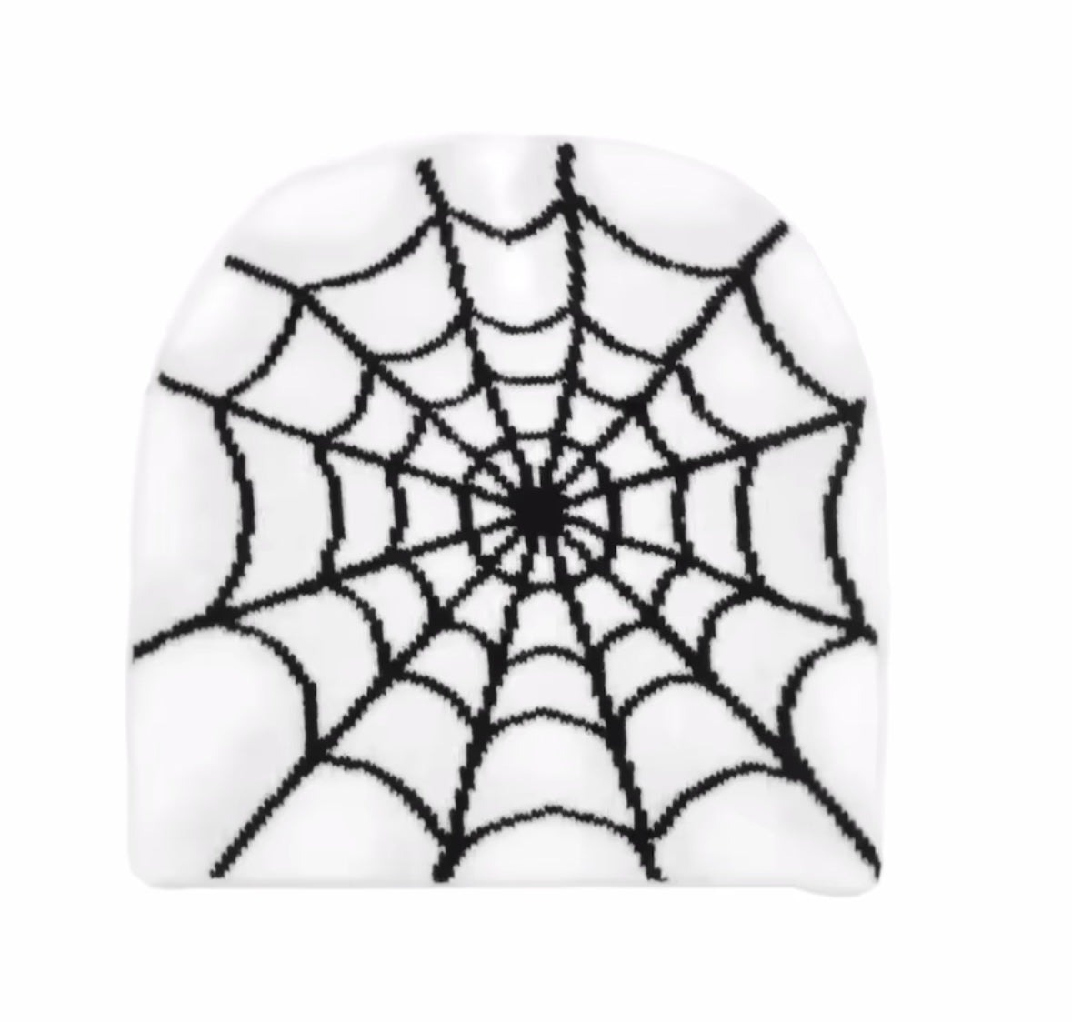 Spider Web Beanie