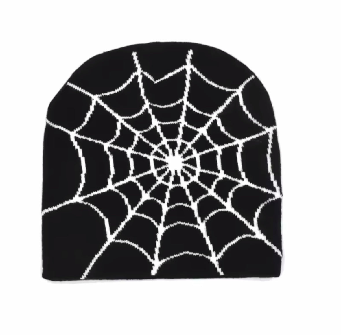 Spider Web Beanie